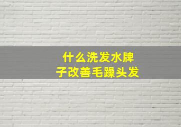 什么洗发水牌子改善毛躁头发