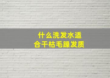 什么洗发水适合干枯毛躁发质