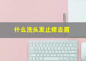 什么洗头发止痒去屑