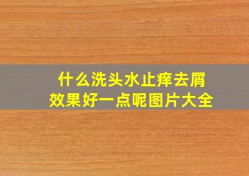 什么洗头水止痒去屑效果好一点呢图片大全