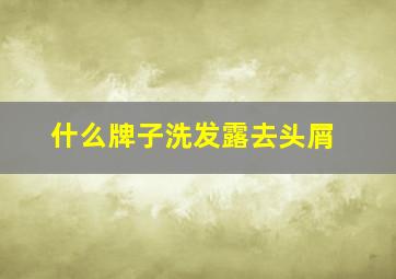 什么牌子洗发露去头屑