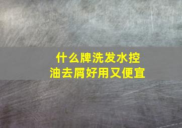 什么牌洗发水控油去屑好用又便宜