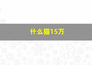 什么猫15万