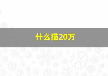 什么猫20万