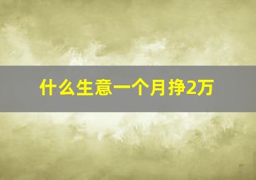 什么生意一个月挣2万