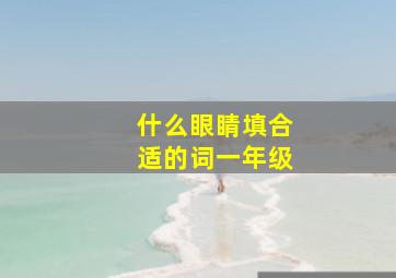 什么眼睛填合适的词一年级