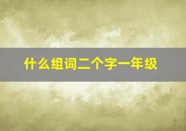 什么组词二个字一年级