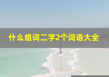 什么组词二字2个词语大全