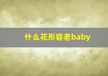 什么花形容老baby