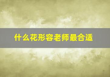 什么花形容老师最合适