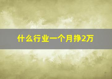 什么行业一个月挣2万