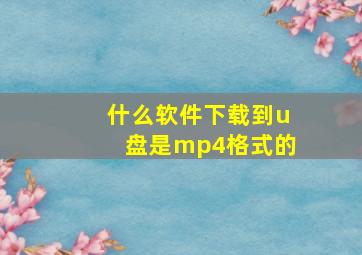 什么软件下载到u盘是mp4格式的