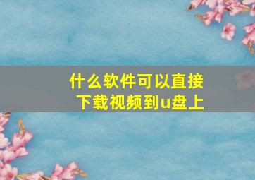 什么软件可以直接下载视频到u盘上