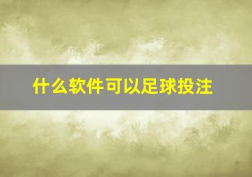 什么软件可以足球投注