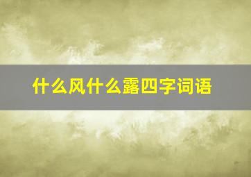 什么风什么露四字词语