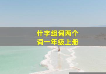 什字组词两个词一年级上册