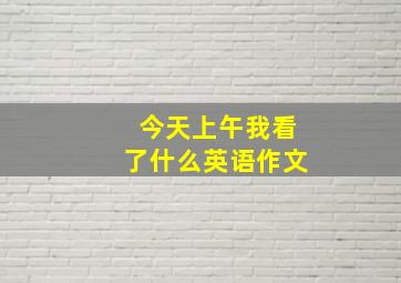 今天上午我看了什么英语作文