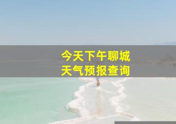 今天下午聊城天气预报查询