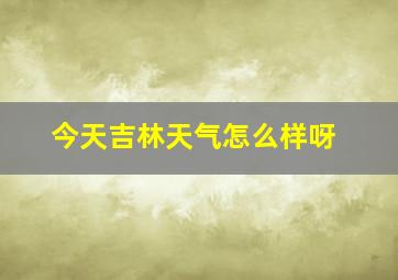 今天吉林天气怎么样呀