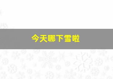 今天哪下雪啦