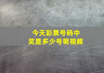 今天彩票号码中奖是多少号呢视频