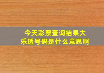 今天彩票查询结果大乐透号码是什么意思啊