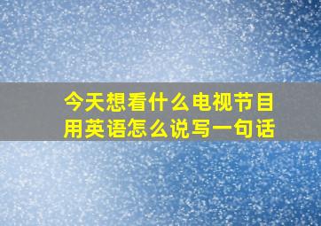 今天想看什么电视节目用英语怎么说写一句话