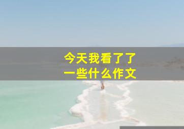 今天我看了了一些什么作文