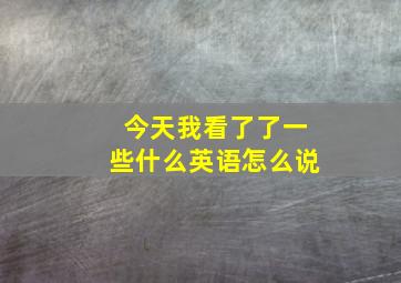 今天我看了了一些什么英语怎么说