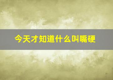 今天才知道什么叫嘴硬