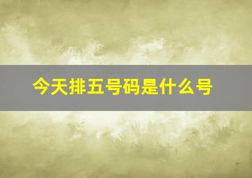 今天排五号码是什么号