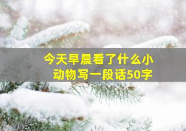 今天早晨看了什么小动物写一段话50字