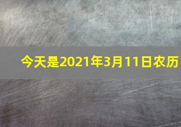 今天是2021年3月11日农历