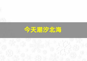 今天潮汐北海