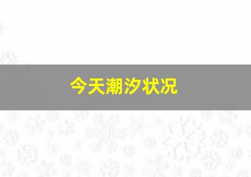 今天潮汐状况