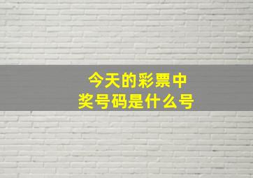 今天的彩票中奖号码是什么号