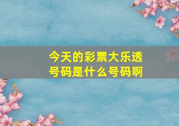 今天的彩票大乐透号码是什么号码啊