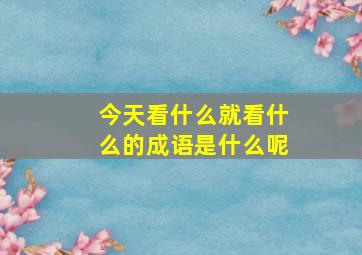 今天看什么就看什么的成语是什么呢