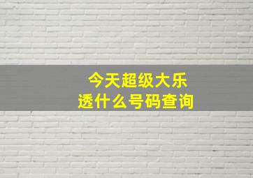 今天超级大乐透什么号码查询