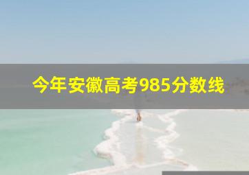 今年安徽高考985分数线