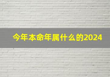 今年本命年属什么的2024