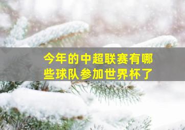 今年的中超联赛有哪些球队参加世界杯了