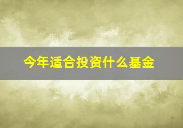 今年适合投资什么基金