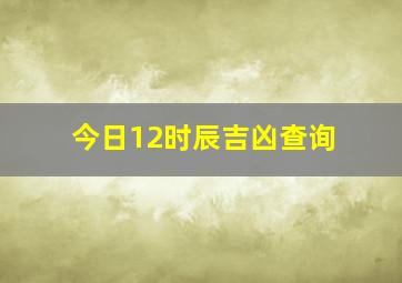 今日12时辰吉凶查询