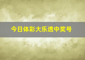 今日体彩大乐透中奖号