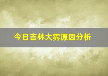 今日吉林大雾原因分析