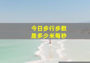 今日步行步数是多少米每秒