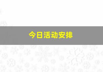 今日活动安排