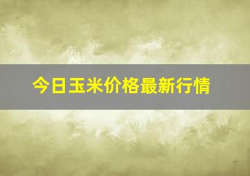 今日玉米价格最新行情