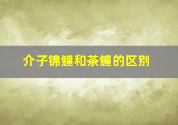 介子锦鲤和茶鲤的区别